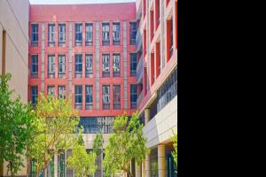 全新红本厂房出租 塘厦高速口 适合各个高端企业 大小面积分租