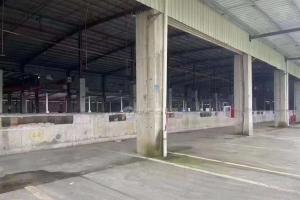 出租凤岗双边卸货平台物流仓20000平米 滴水位8米空地超大